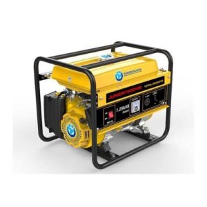 TEC petrol generator